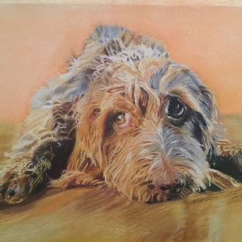 Terrier 9x12
Original $250